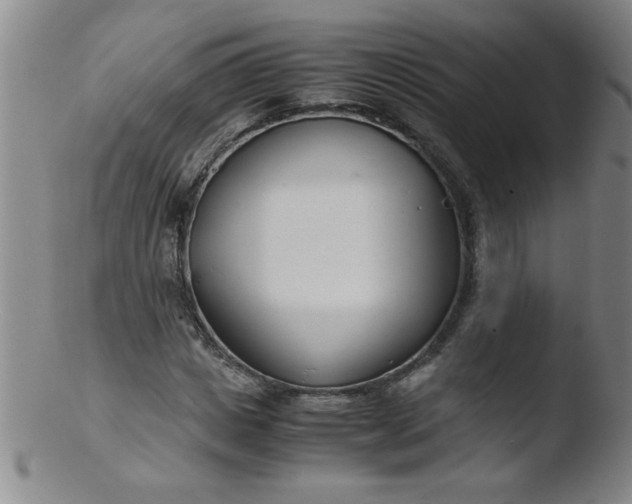 X0000103480825200809261925