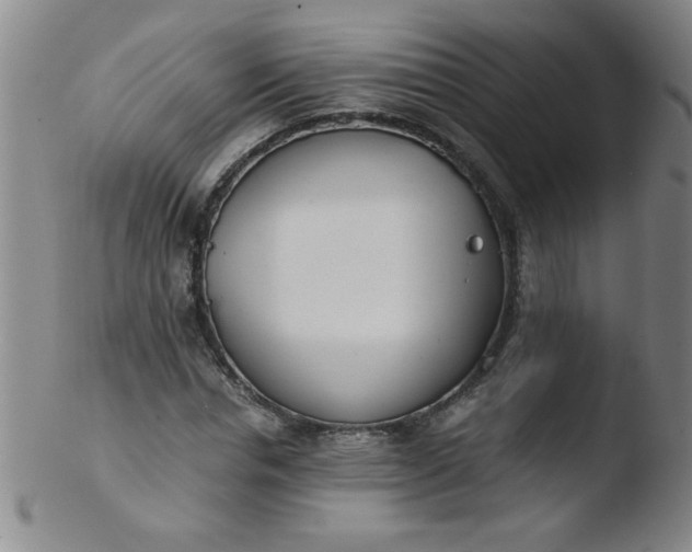 X0000103480826200809261925