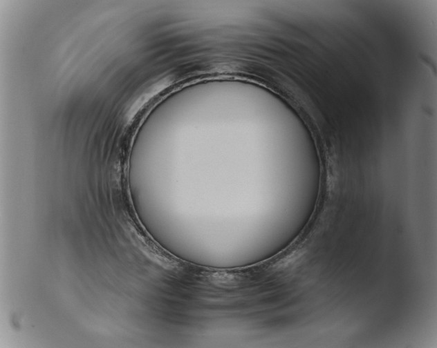 X0000103480827200809261925