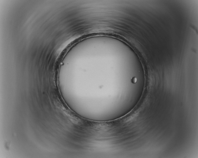 X0000103480830200809261925