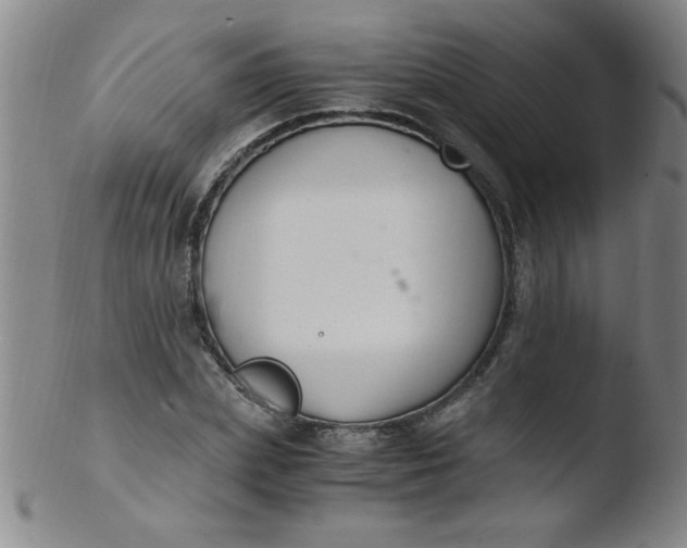 X0000103480831200809261925