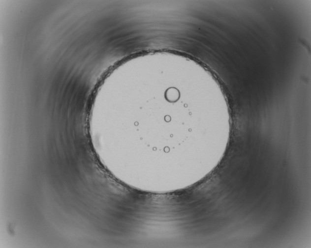 X0000103480832200809261925