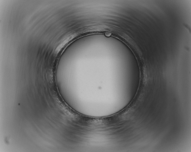 X0000103480834200809261925