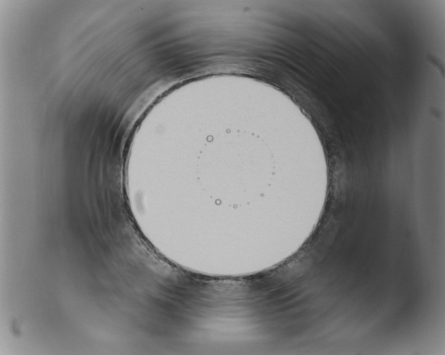 X0000103480836200809261925