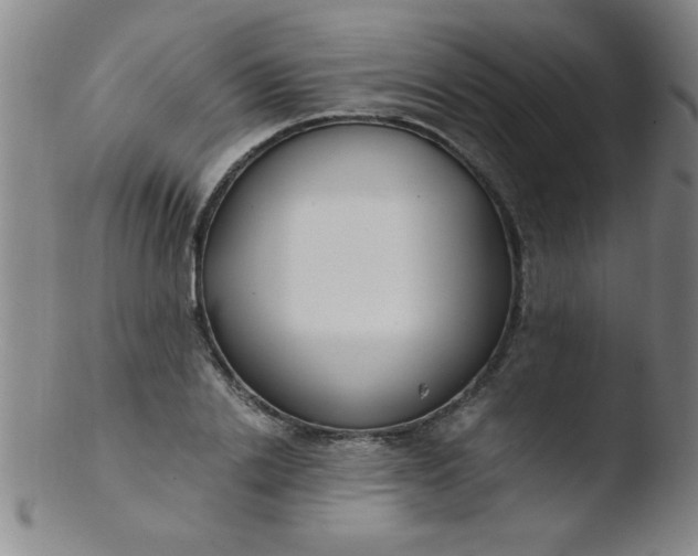 X0000103480838200809261925