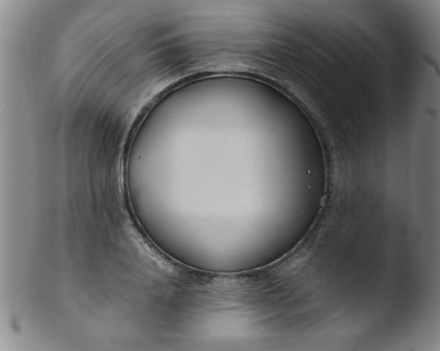 X0000103480840200809261925