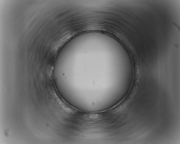 X0000103480841200809261926