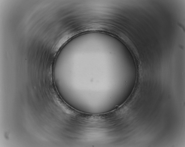 X0000103480842200809261926