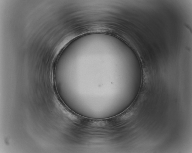 X0000103480843200809261926