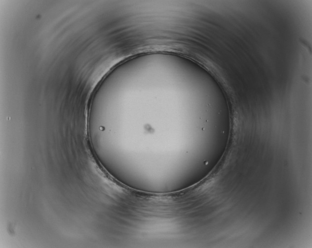 X0000103480844200809261926