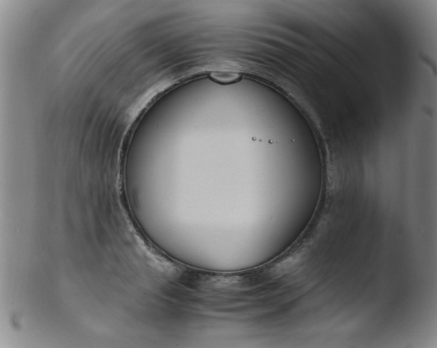 X0000103480845200809261926