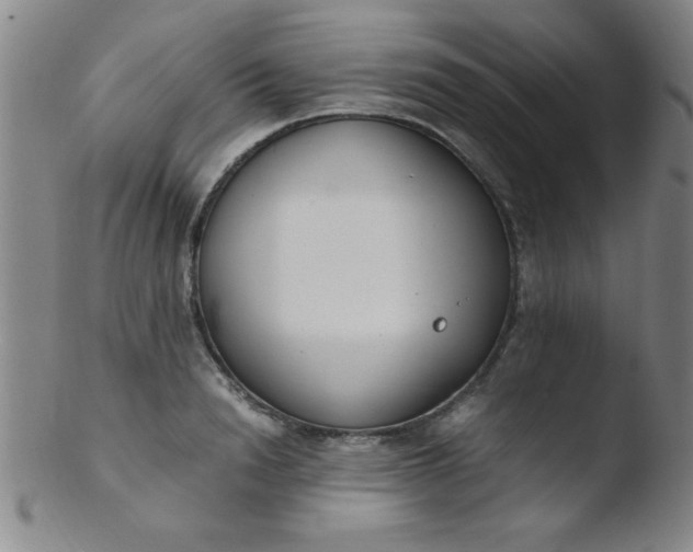 X0000103480846200809261926