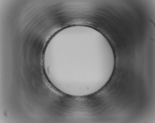 X0000103480848200809261926