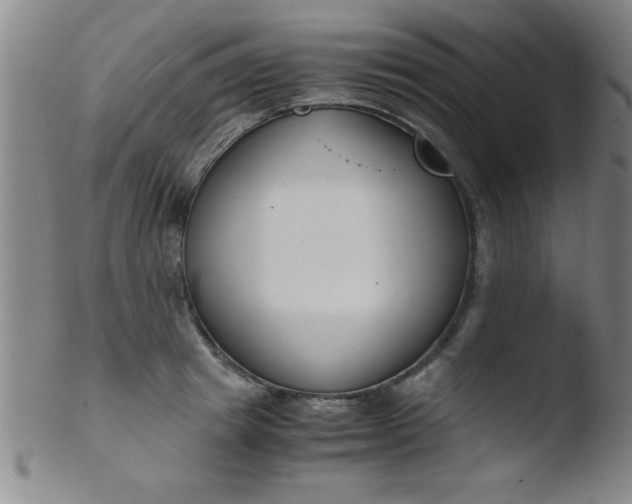 X0000103480849200809261926