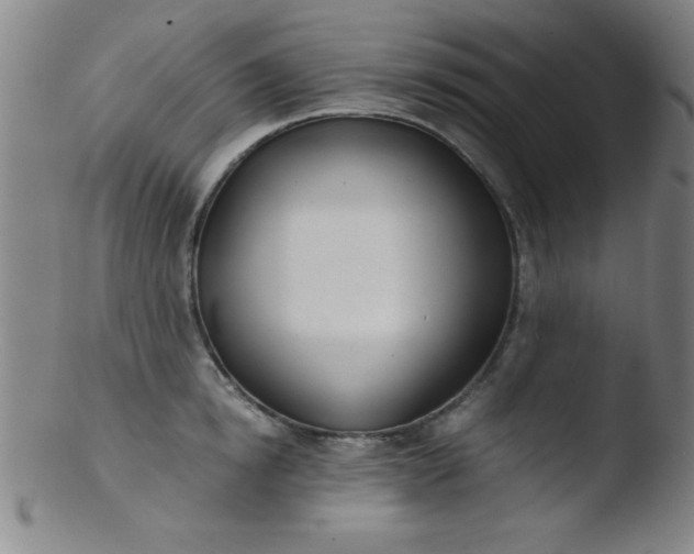 X0000103480854200809261926