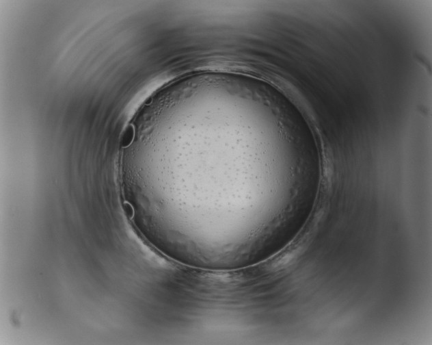 X0000103480855200809261926