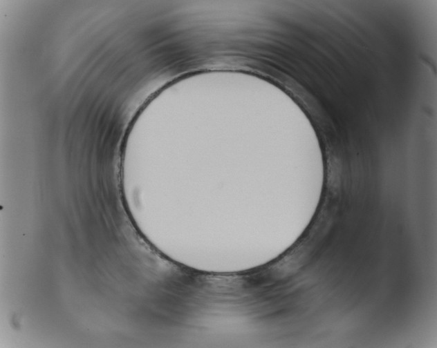 X0000103480856200809261926