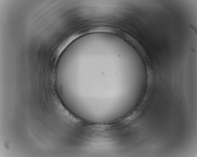 X0000103480860200809261926