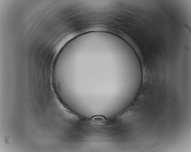 X0000103480861200809261926