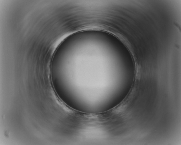 X0000103480862200809261926