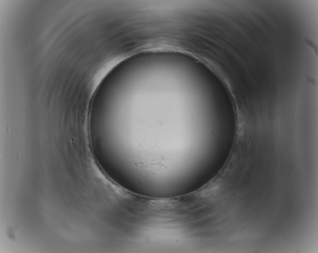 X0000103480863200809261926