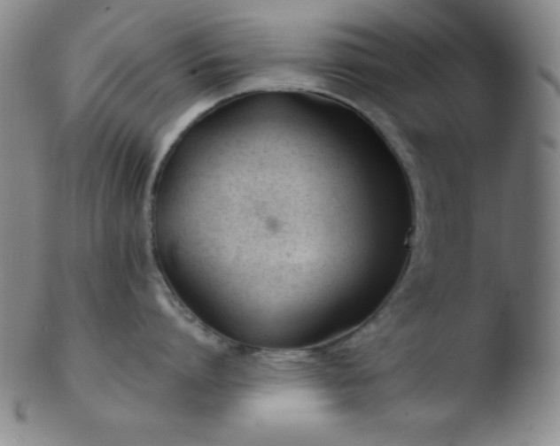 X0000103480864200809261926