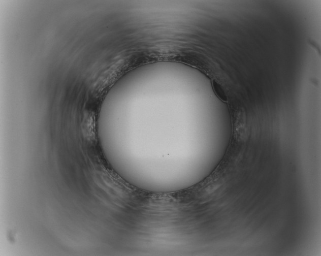 X0000103480866200809261925