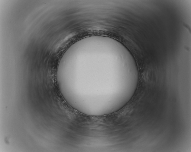 X0000103480870200809261925