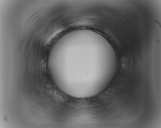 X0000103480872200809261925