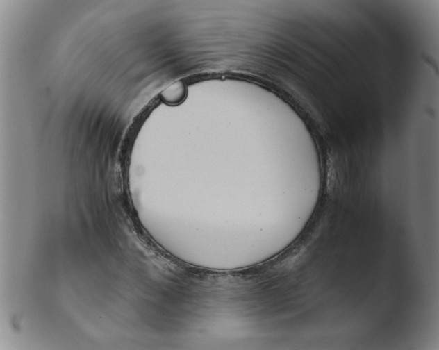 X0000103480876200809261925