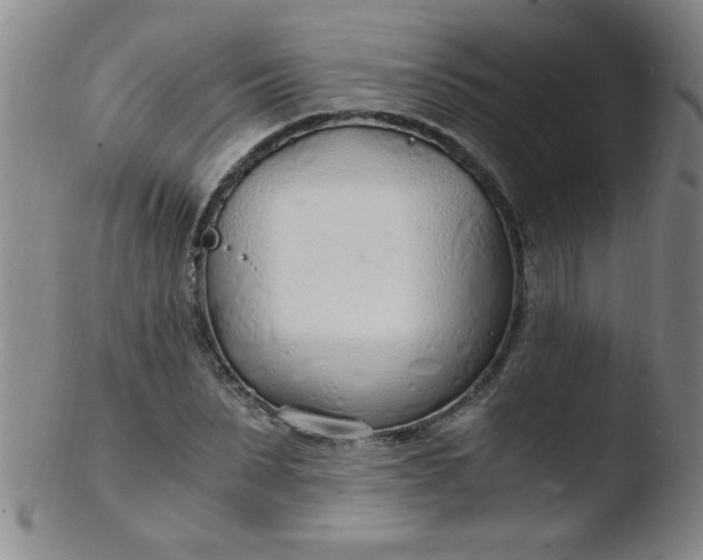 X0000103480879200809261925