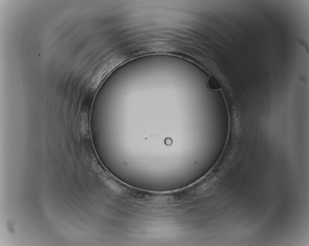 X0000103480889200809261925