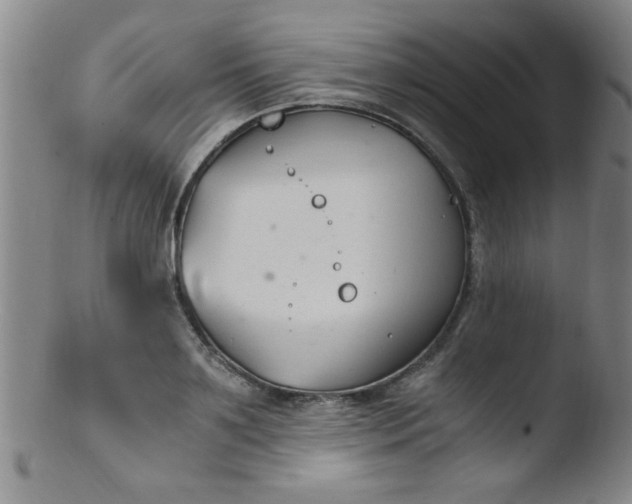 X0000103480891200809261925