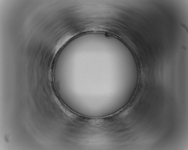 X0000103480893200809261925