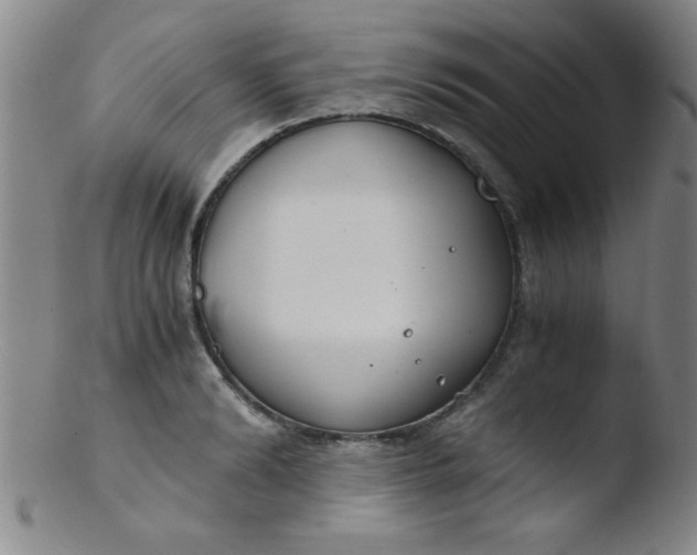 X0000103480894200809261925