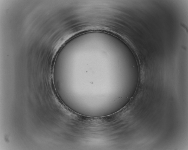 X0000103480895200809261925