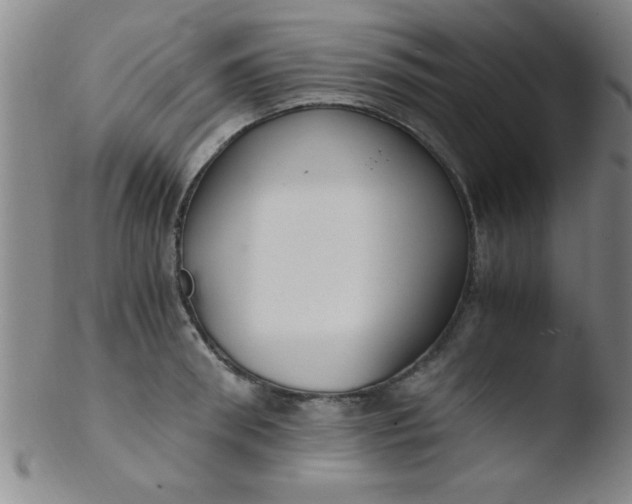 X0000103480898200809261925