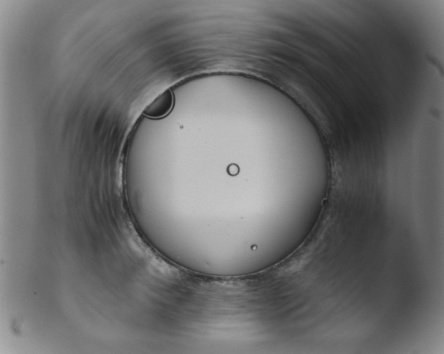 X0000103480900200809261925