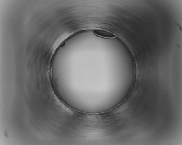 X0000103480901200809261925