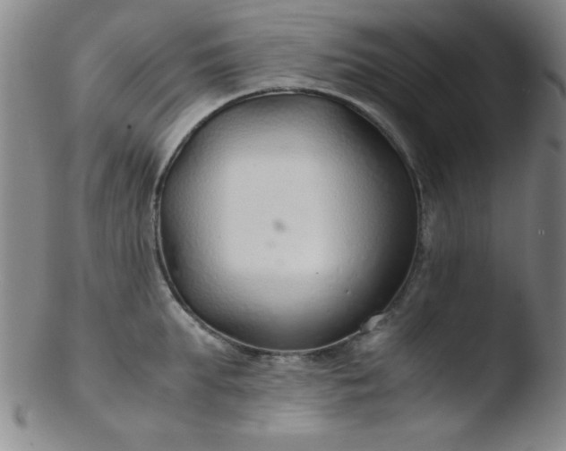 X0000103480903200809261925