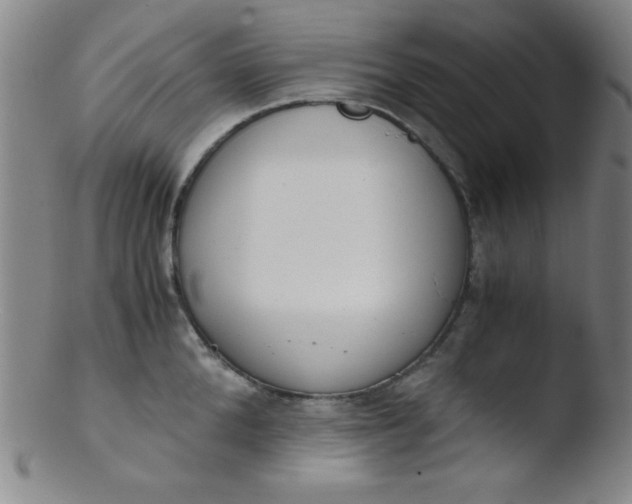 X0000103480904200809261925