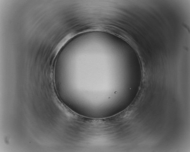 X0000103480907200809261925