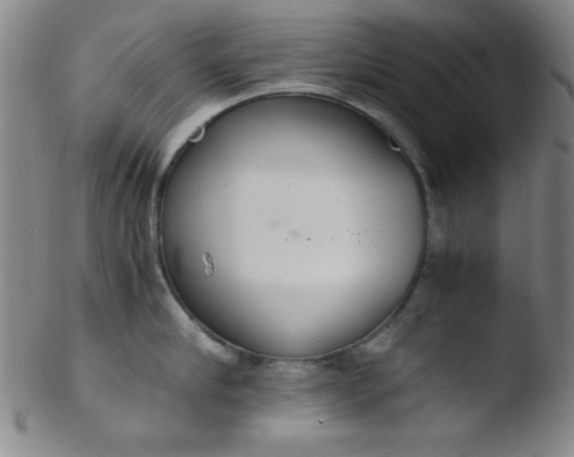 X0000103480910200809261925