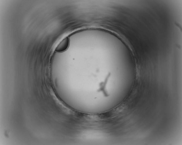 X0000103480911200809261925