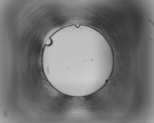 X0000103480912200809261925