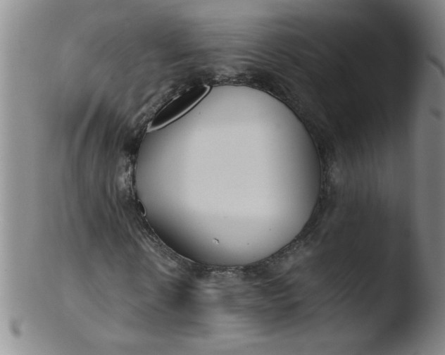 X0000103480914200809261924