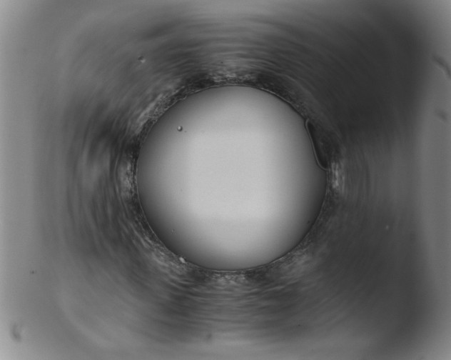 X0000103480915200809261924