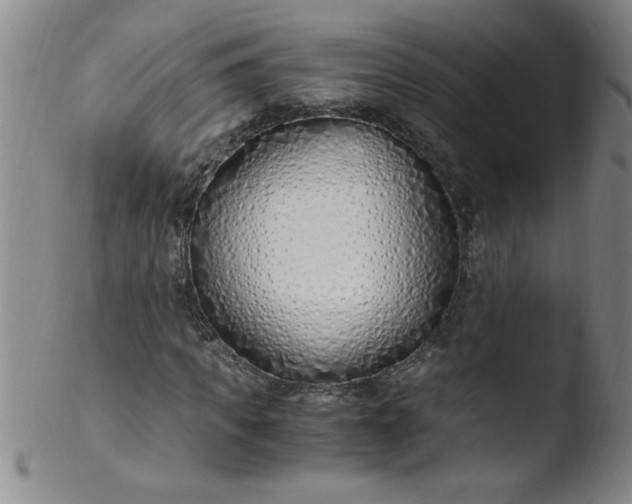 X0000103480917200809261924