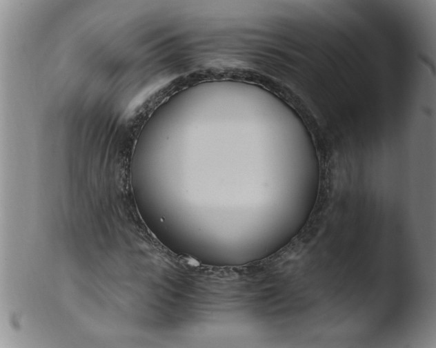 X0000103480919200809261924