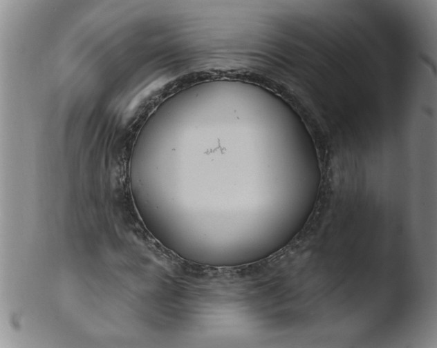 X0000103480920200809261924